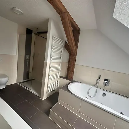 Fe-wo Parkblick By Interhome Apartman Bad Elster